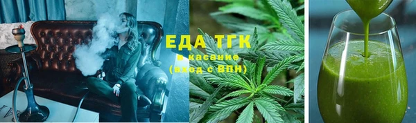 хмурый Абаза