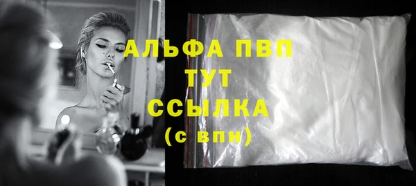 хмурый Абаза