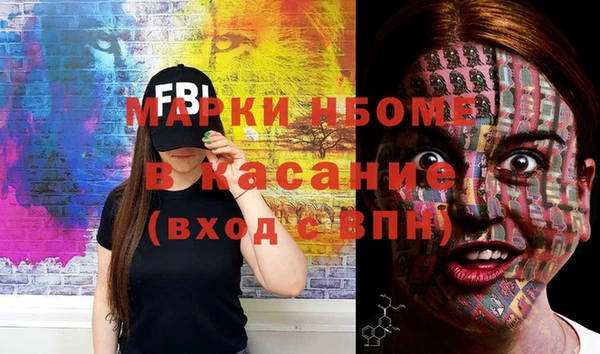 хмурый Абаза