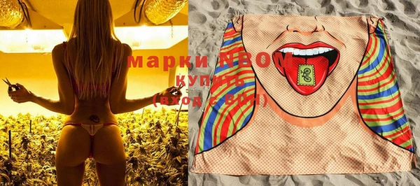 хмурый Абаза