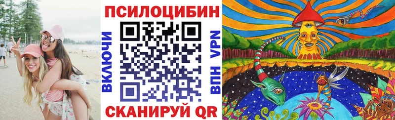 Галлюциногенные грибы Psilocybe  наркотики  Ужур 